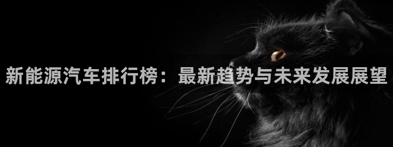 摩根娱乐宝与