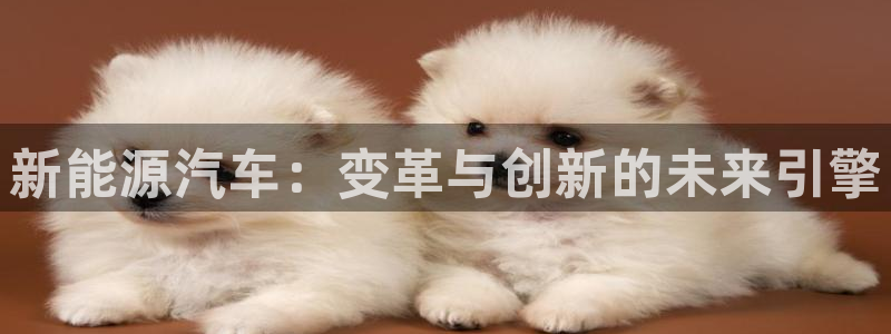 摩根娱乐 F招D商98732