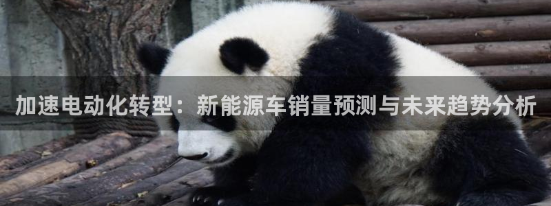 摩根国际娱乐宝官网
