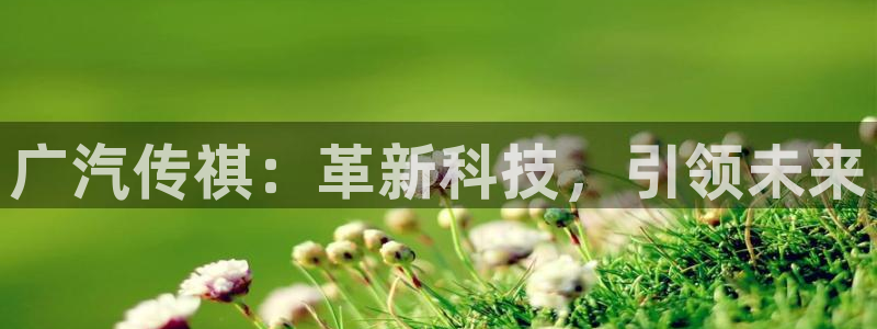 摩根娱乐视频大全