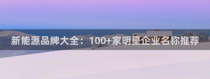 摩根娱乐彩票挂机：新能源品牌大全：100