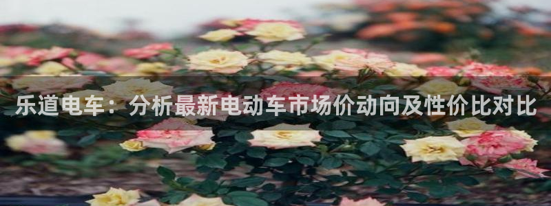 摩根娱乐50186找：乐道电车：分析最新