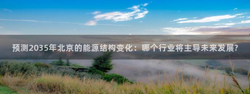 摩根娱乐宝平台：预测2035年北京的能源