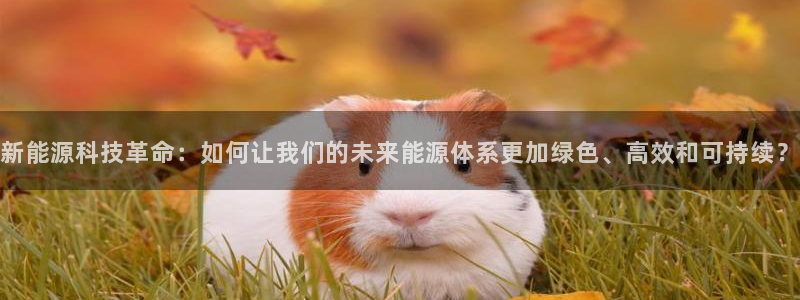 香港摩根娱乐宝