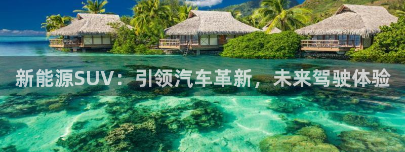 摩根娱乐宝平台下载：新能源SUV：引领汽