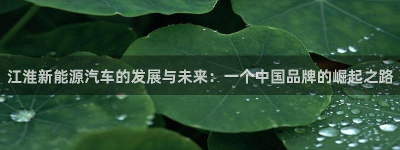 泉州摩根娱乐会所：江淮新能源汽车的发展与