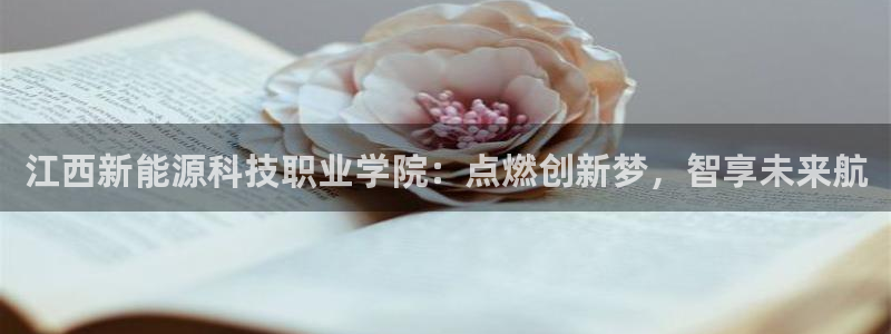 摩根娱乐宝打不开：江西新能源科技职业学院