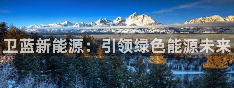 摩根娱乐骗局:卫蓝新能源:引领绿色能源未来