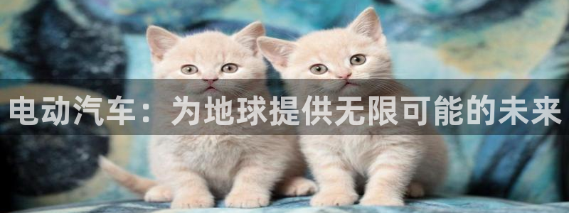 摩根娱乐宝杀单吗:电动汽车:为地球提供无限可能的未来