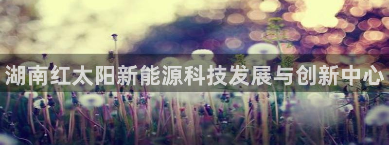 摩根娱乐宝是什么东西:湖南红太阳新能源科技发展与创新中心