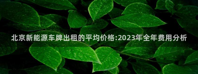 摩根娱乐代理:北京新能源车牌出租的平均价格:2023年全年费