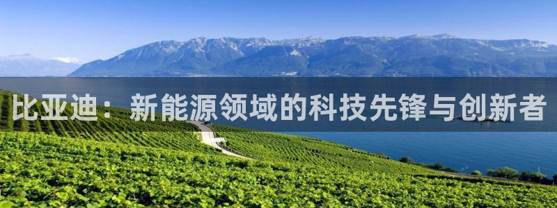 义乌摩根娱乐会所邮箱:比亚迪:新能源领域的科技先锋与创新者