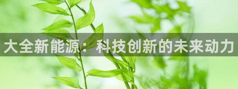漳州摩根会娱乐:大全新能源:科技创新的未来动力