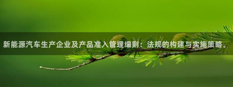 白宫摩根会娱乐会所:新能源汽车生产企业及产品准入管理细则:法