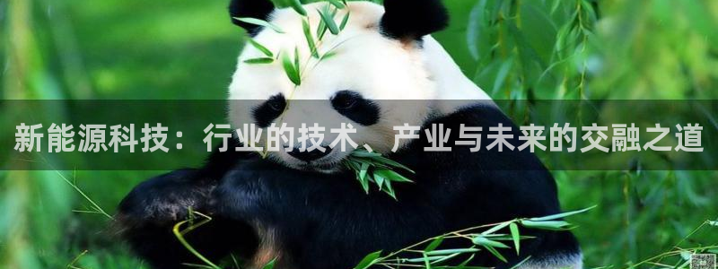 摩根国际娱乐宝在哪里：新能源科技：行业的