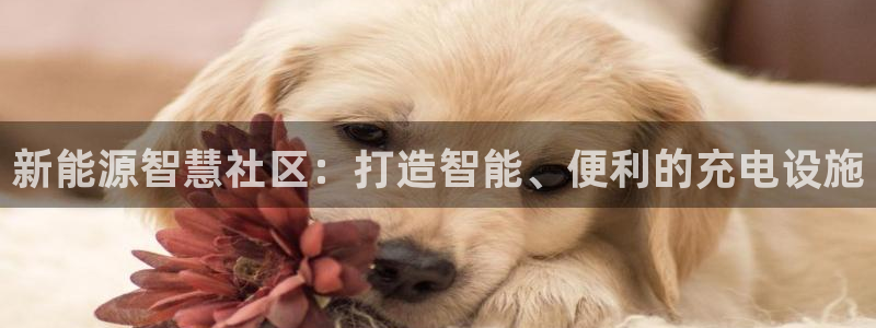 摩根娱乐宝软件下载：新能源智慧社区：打造