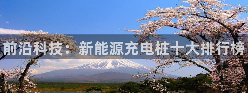 摩根娱乐彩票挂机：前沿科技：新能源充电桩