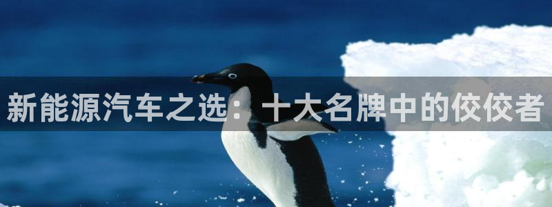 摩根国际娱乐宝下载:新能源汽车之选:十大名牌中的佼佼者