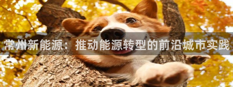 摩根娱乐宝。知道吗：常州新能源：推动能源
