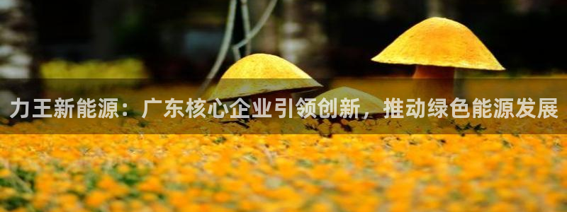 泉州白宫摩根娱乐会所：力王新能源：广东核