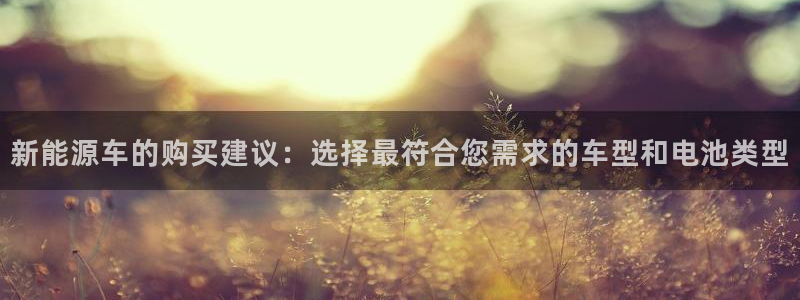 长春拉图摩根附近娱乐：新能源车的购买建议