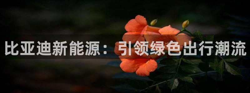 摩根娱乐宝.知道吗:比亚迪新能源:引领绿色出行潮流