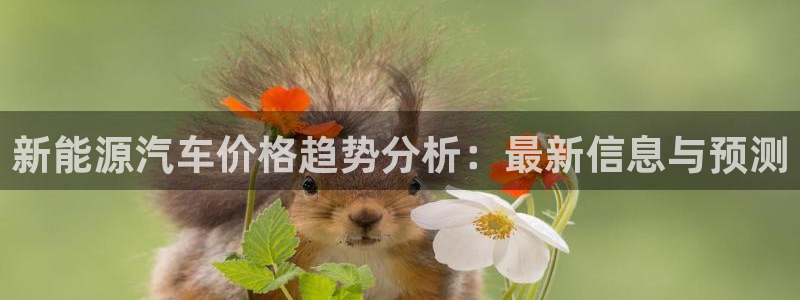 摩根士丹利凯撒娱乐