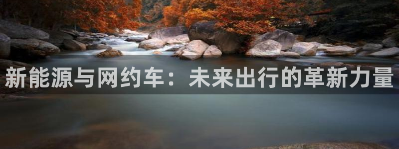 摩根大通王者娱乐