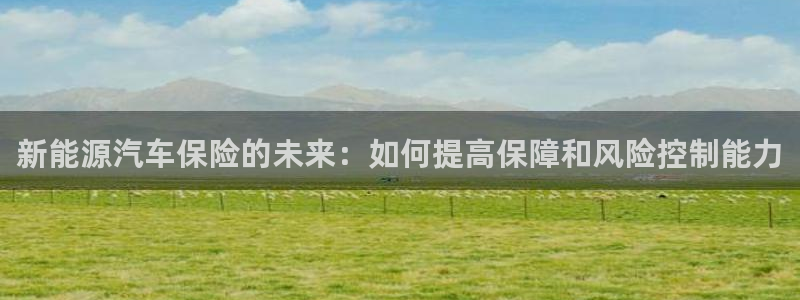 摩根娱乐登录:新能源汽车保险的未来:如何提高保障和风险控制能