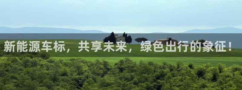 摩根娱乐宝可信吗：新能源车标，共享未来，