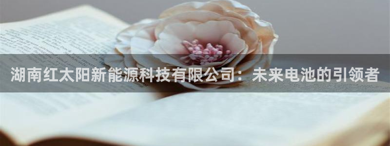 摩根娱乐电玩:湖南红太阳新能源科技有限公司:未来电池的引领者