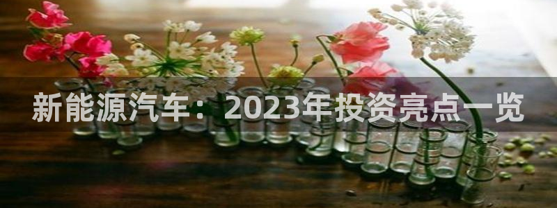 摩根娱乐百家号：新能源汽车：2023年投