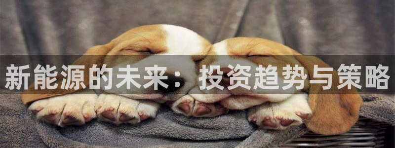 摩根娱乐宝怎样拉下线