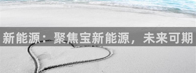 摩根娱乐彩票挂机:新能源:聚焦宝新能源,未来可期