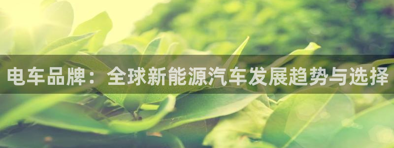 下载摩根娱乐宝