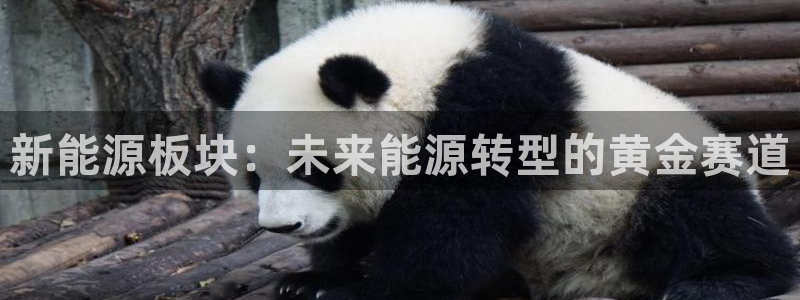 义乌摩根娱乐阿峰