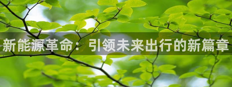 摩根说娱乐:新能源革命:引领未来出行的新篇章