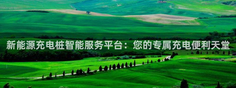 摩根士丹利凯撒娱乐:新能源充电桩智能服务平台:您的专属充电便