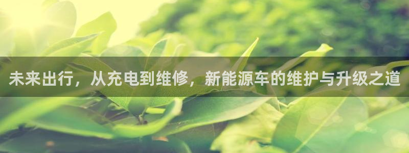 摩根国际娱乐宝