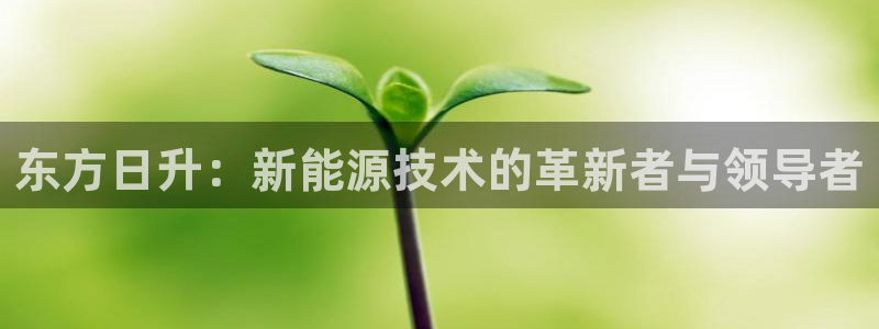 摩根娱乐宝创始人