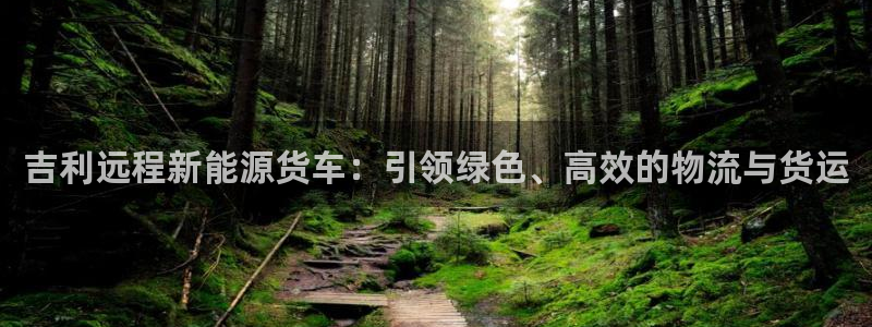 重生娱乐美日混血摩根