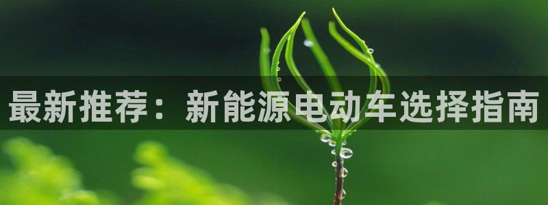 摩根娱乐宝是骗人的的吗:最新推荐:新能源电动车选择指南