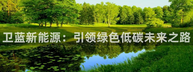 摩根娱乐身生个女孩吧:卫蓝新能源:引领绿色低碳未来之路