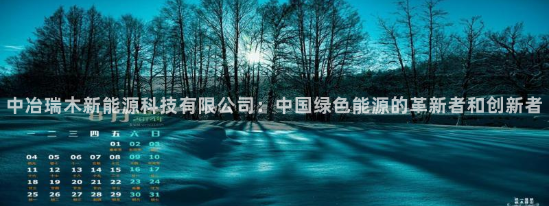 深圳摩根时代娱乐公司:中冶瑞木新能源科技有限公司:中国绿色能