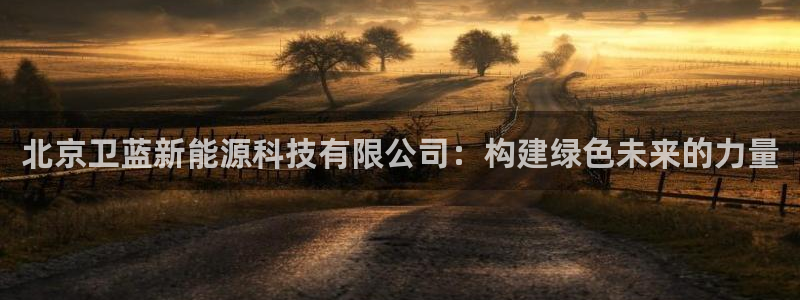 摩根大通黄金娱乐：北京卫蓝新能源科技有限