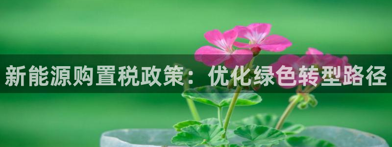 摩根娱乐宝怎么赚钱的：新能源购置税政策：