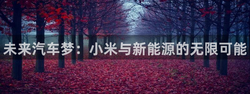 玩摩根娱乐宝亏了三千：未来汽车梦：小米与