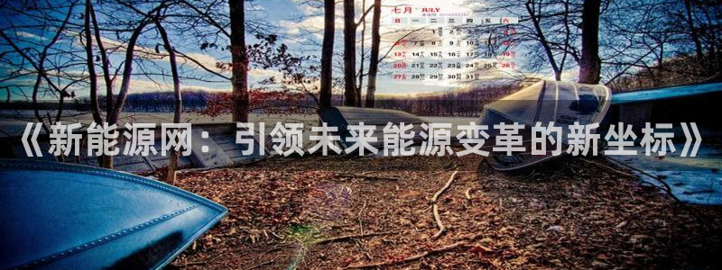摩根娱乐是骗局吗?:《新能源网:引领未来能源变革的新坐标》