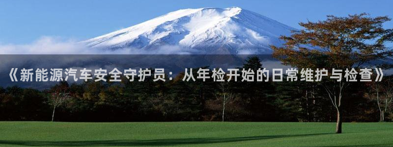 摩根娱乐 总s管50015:《新能源汽车安全守护员:从年检开