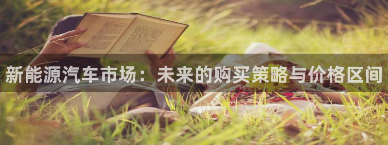 摩根士丹利娱乐:新能源汽车市场:未来的购买策略与价格区间
